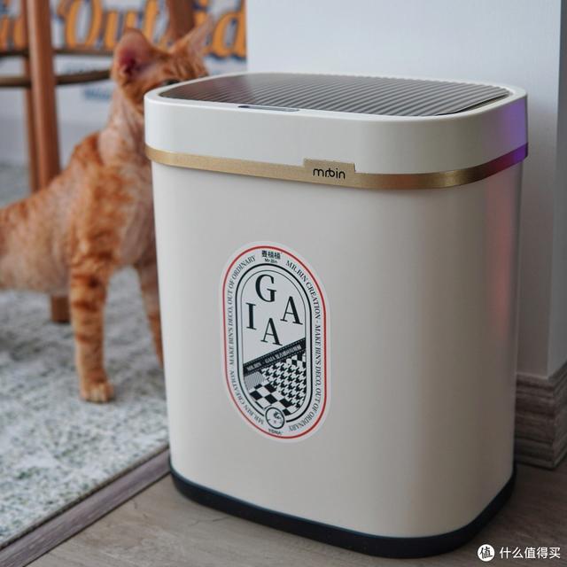 养猫避坑指南,干货助你轻松养好哈基米