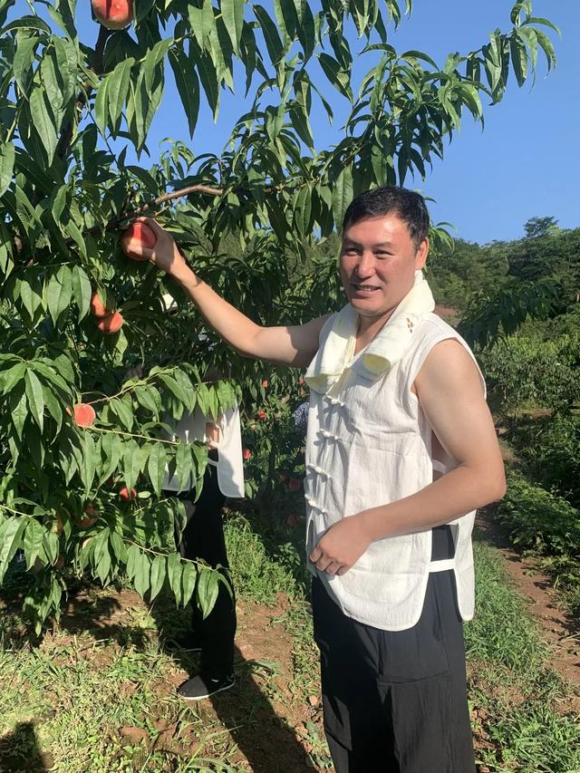 街道书记变身“主播”，短视频为水蜜桃“带货”