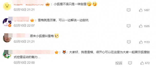 “大家好我是雪梅”亚冬会直播一只小狐狸抢镜