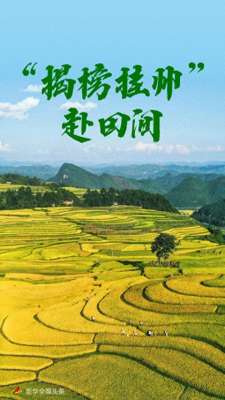 青草女主播157(“揭榜挂帅”赴田间)