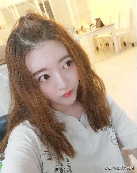 关于白鲨你不可不知的“白鲨女队”