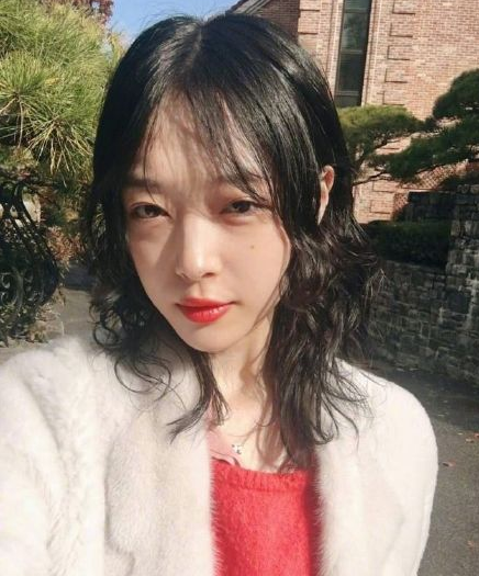 具荷拉直播时痛哭！韩国女艺人崔雪莉家中身亡 雪莉最后一条ins图写了什么内容