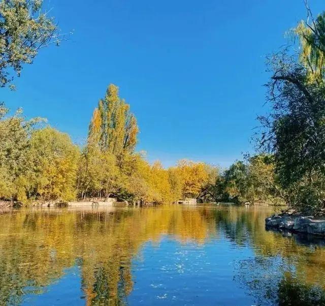 萌兰新家曝光！喜提“豪华套房”