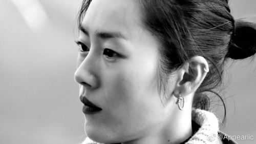 刘雯扛枪、李彦宏捡牛粪，这些名人上节目为什么这么拼？