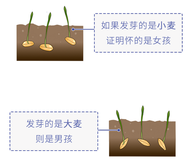 为了验孕，人类都用过哪些奇葩方法？如何用青蛙验孕？涨知识了