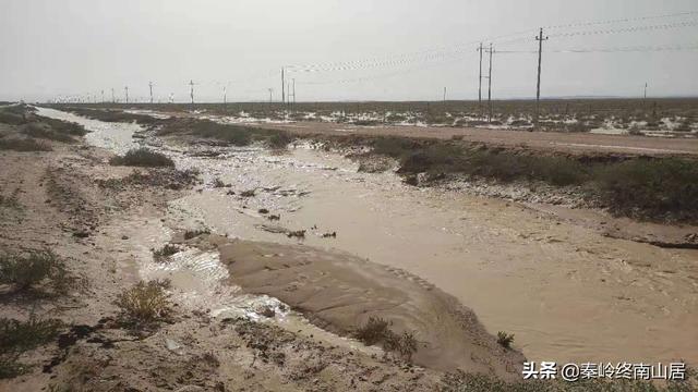 河南女孩美美直播时意外身亡，徒步西藏是追求梦想还是无知者无畏