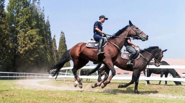 荣泰智能豪华按摩椅直降1500元,快来这个直播间
