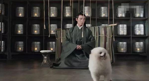 《宸汐缘》鲛人变性追兄弟，真是欣慰