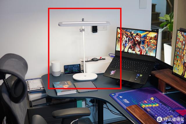 养猫避坑指南,干货助你轻松养好哈基米