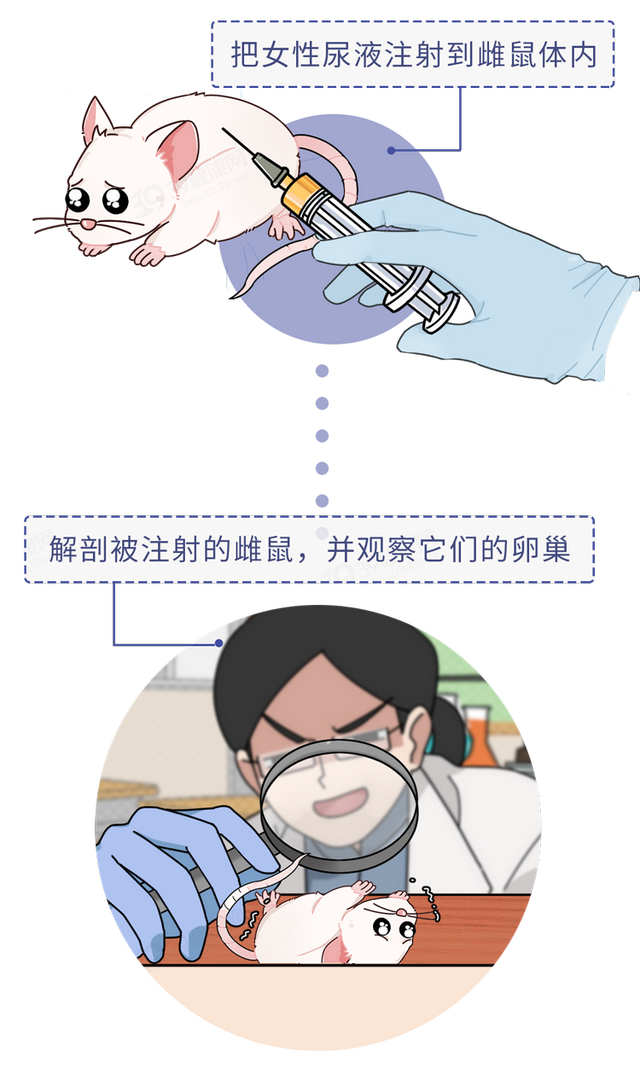 为了验孕，人类都用过哪些奇葩方法？如何用青蛙验孕？涨知识了