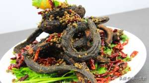 麻椒黄鳝女主播 magnet(厨师长教你干煸盘龙鳝的正宗做法，色香味俱全，地道豫菜值得收藏)