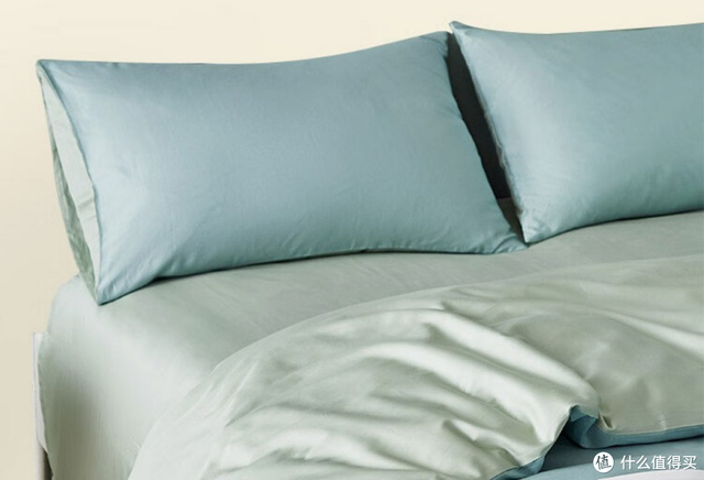 养猫避坑指南,干货助你轻松养好哈基米