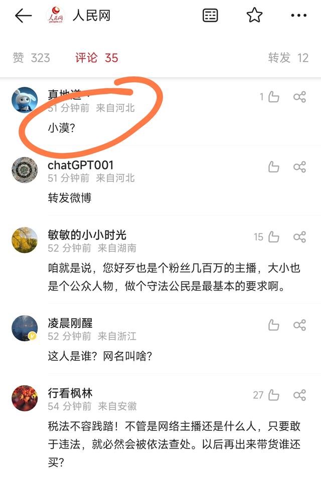 曝游戏主播小漠偷税，通报罚款476万，曾解说“国服第一系列”