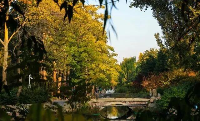 萌兰新家曝光！喜提“豪华套房”