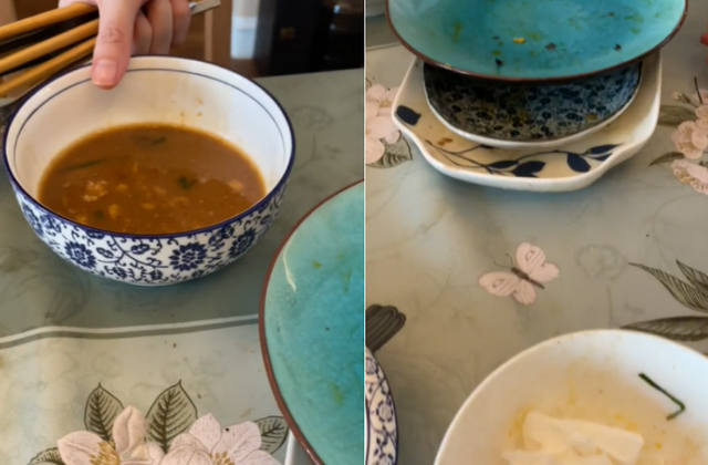 16位明星抗疫接地气！马伊琍种葱，李立群吃剩菜，苗苗阳台成菜园