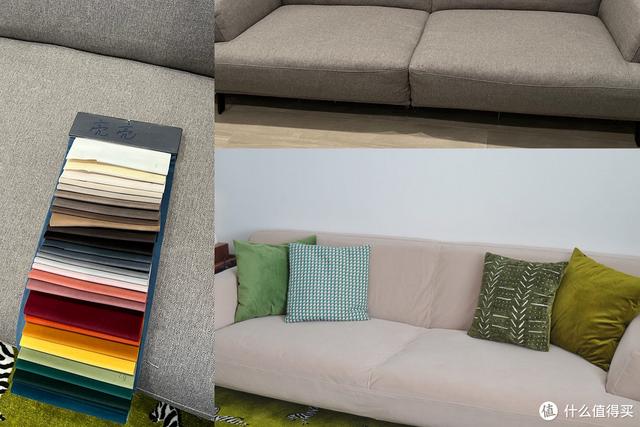 养猫避坑指南,干货助你轻松养好哈基米