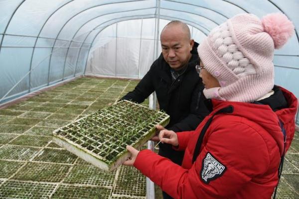 “揭榜挂帅”赴田间