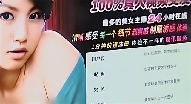 色情网站“丁香”覆灭记：7.3亿的浏览量背后，是谁在操控盈利？