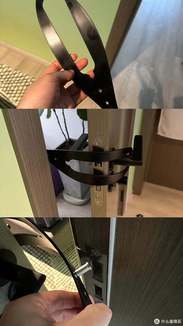 养猫避坑指南,干货助你轻松养好哈基米