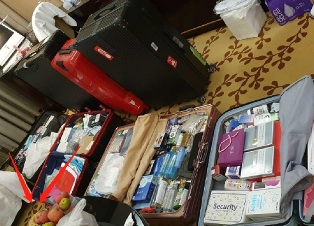 16位明星抗疫接地气！马伊琍种葱，李立群吃剩菜，苗苗阳台成菜园