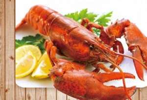 女主播吃大龙虾(外国小姐姐吃大龙虾，一只钳子有一只鸡大，网友：下半月得喝汤了)