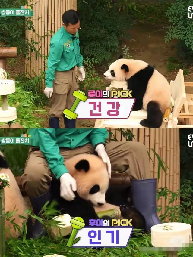 心里藏着小星星 生活才能亮晶晶！睿宝辉宝1周岁生日 爱与祝福同在