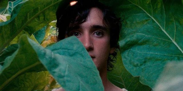 华语片给力！今年的戛纳有的看了