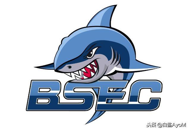 关于白鲨你不可不知的“白鲨女队”