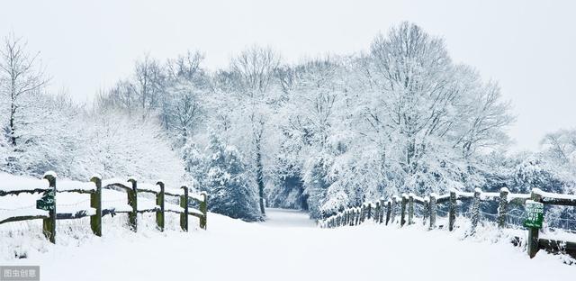 今年数九时间表,标记一下