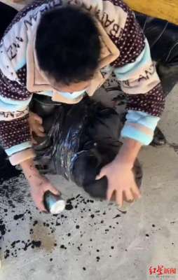 美女主播被绑(男子捆绑女子后泼墨殴打引众怒 警方通报：网红拍摄“受罚”视频，涉事7人被查)