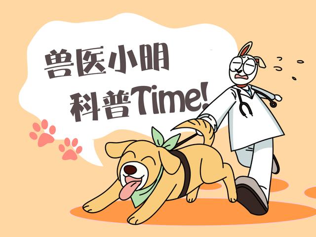 狗狗叼着内衣在草地上玩耍，看了都说不出话了：好奇心未免太重