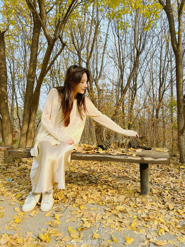 足球女主播哪家强,央视马凡舒,刘语熙,杨茗茗最强三叉戟