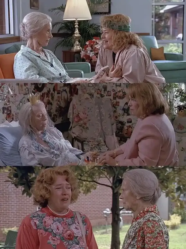 《油炸绿番茄》:女性的生存美学——论温柔如何成为最锋利的反抗