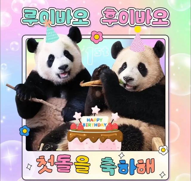 心里藏着小星星 生活才能亮晶晶！睿宝辉宝1周岁生日 爱与祝福同在