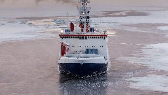 小说：极品堂姐重生归来要复仇啦