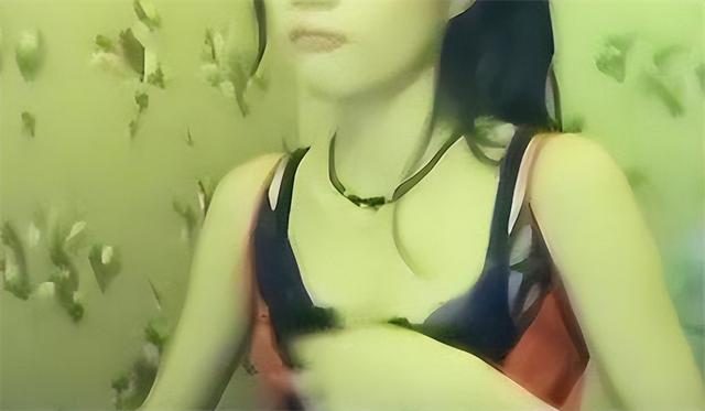 色情网站“丁香”覆灭记：7.3亿的浏览量背后，是谁在操控盈利？