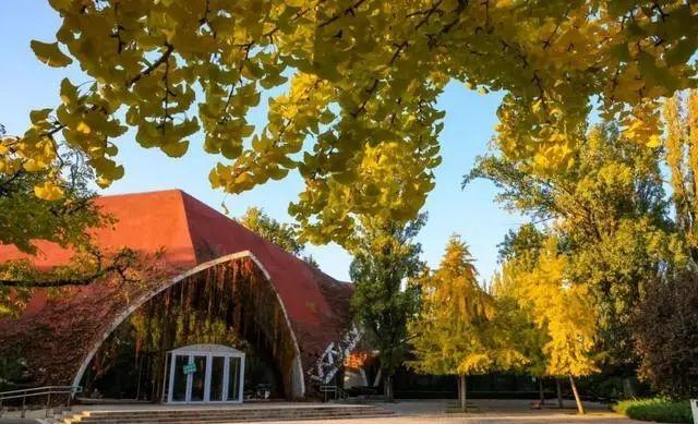 萌兰新家曝光！喜提“豪华套房”