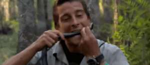 贝爷女主播(为什么《荒野求生》主播都必须是退役特种兵？谁是中国“贝爷”？)