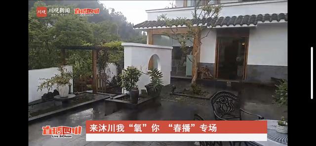 “来沐川 我‘氧’你！”直播 超千万人次一起“森呼吸”