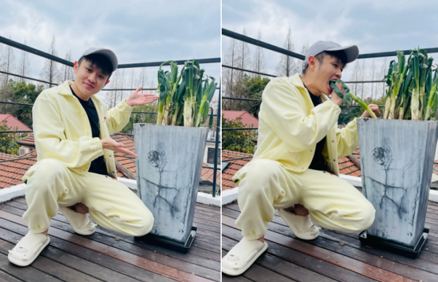 16位明星抗疫接地气！马伊琍种葱，李立群吃剩菜，苗苗阳台成菜园