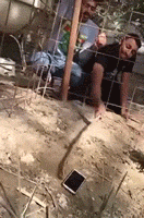 “弟弟的女同学才初一，都这么早熟了吗？”哈哈哈