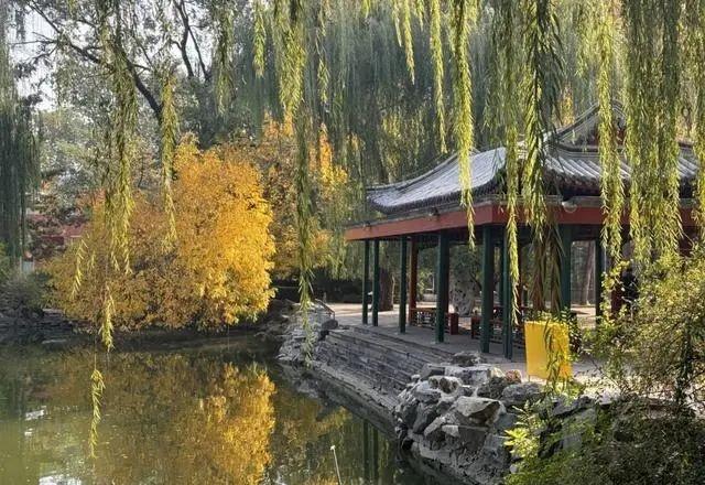 萌兰新家曝光！喜提“豪华套房”