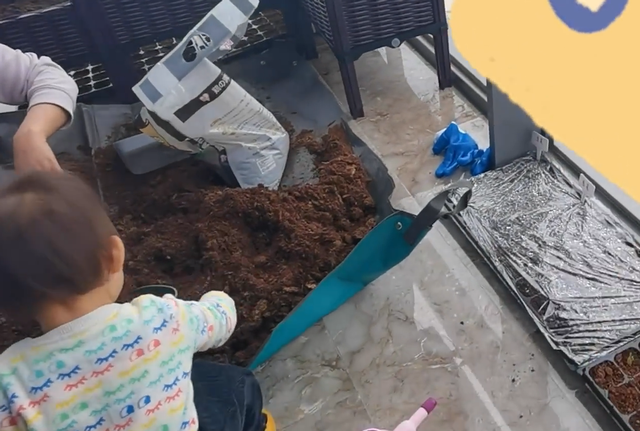 16位明星抗疫接地气！马伊琍种葱，李立群吃剩菜，苗苗阳台成菜园