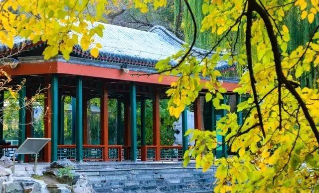 萌兰新家曝光！喜提“豪华套房”