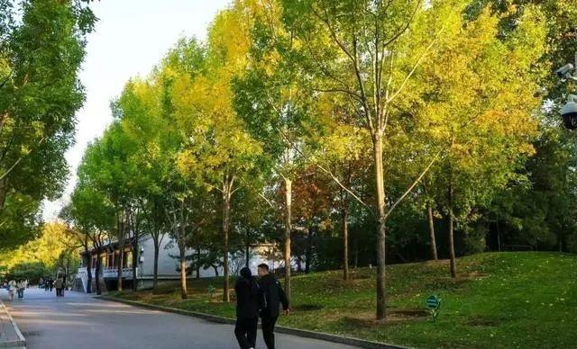 萌兰新家曝光！喜提“豪华套房”