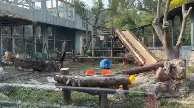 萌兰新家曝光！喜提“豪华套房”