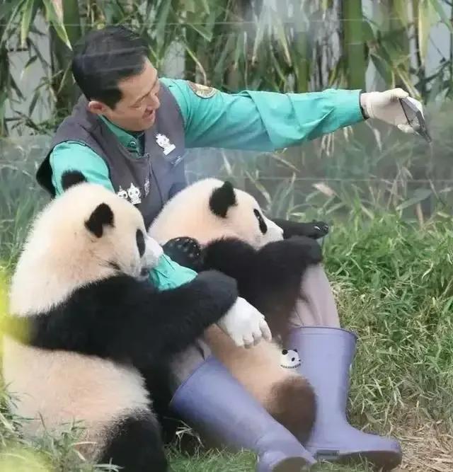 心里藏着小星星 生活才能亮晶晶！睿宝辉宝1周岁生日 爱与祝福同在