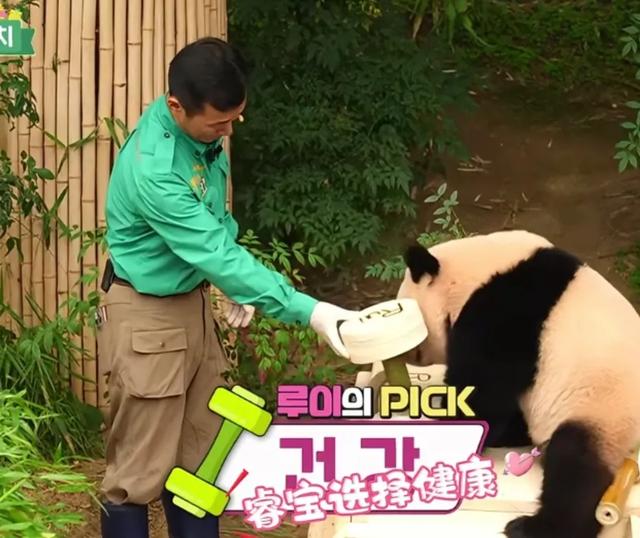 心里藏着小星星 生活才能亮晶晶！睿宝辉宝1周岁生日 爱与祝福同在