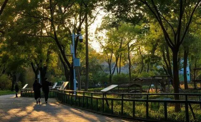 萌兰新家曝光！喜提“豪华套房”