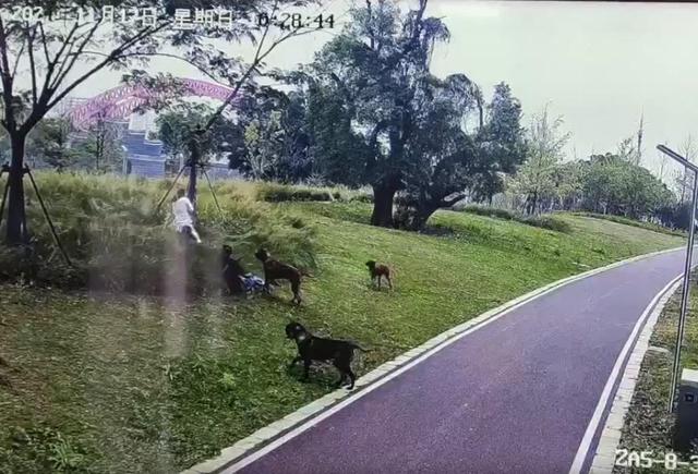 墙倒众人推！网红潘宏被曝踩儿子头合影，曾因故意伤害判刑一年